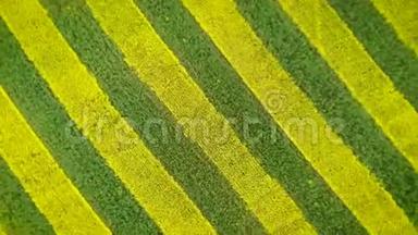 黄、绿条纹在<strong>农田</strong>空中和转弯催眠中的应用